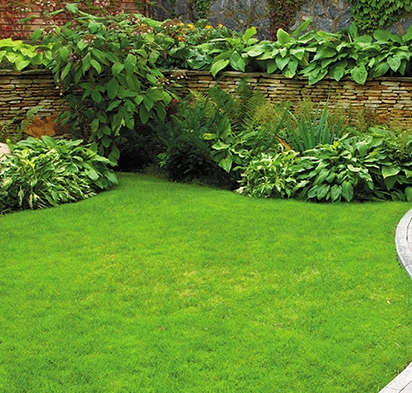 The Secret to Achieving a Perfect Lawn in Australia