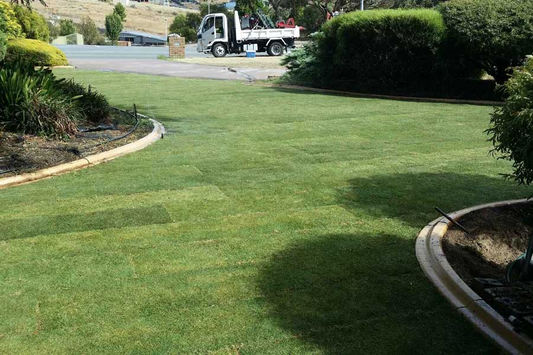 The Pros and Cons of Having Couch Grass on Your Lawn